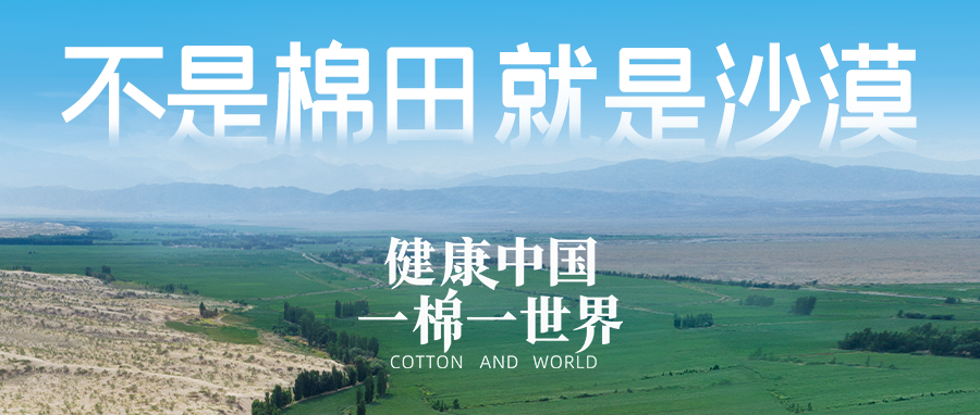 链接世界，引领健全生涯，2003网站太阳集团集团受邀亮相首届链博会