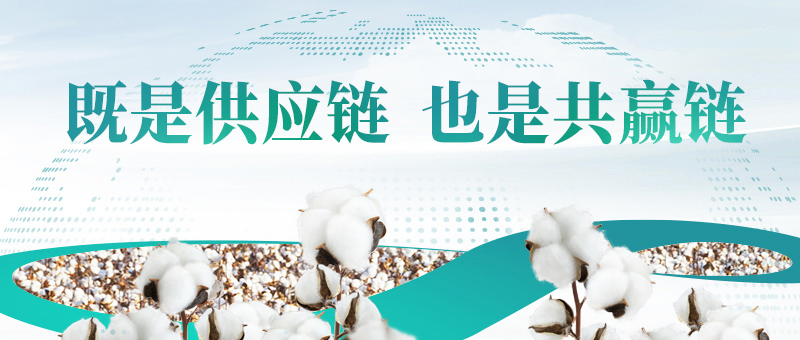 棉花的供给链，2003网站太阳集团共赢链